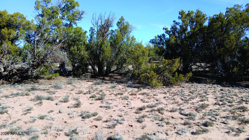 206-14-382 North view.jpg