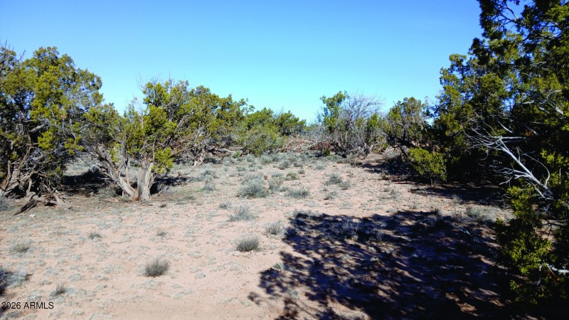 206-14-382 NW view from NW Corner.jpg