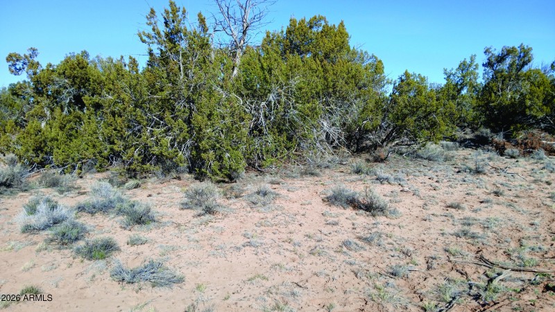 206-14-382 SE corner facing NW corner.jp