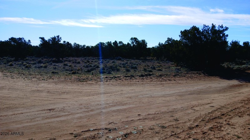 206-14-382 SE view from SE corner.jpg