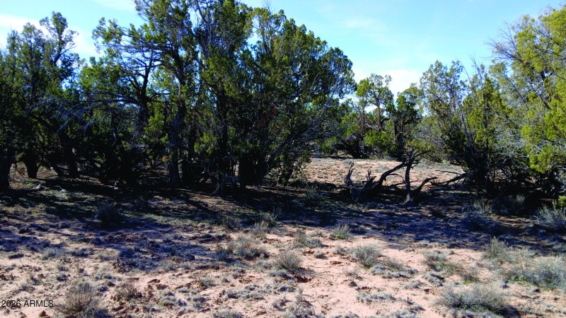 206-14-382 South view.jpg