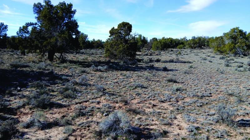 206-14-382 SW view from SW corner.jpg