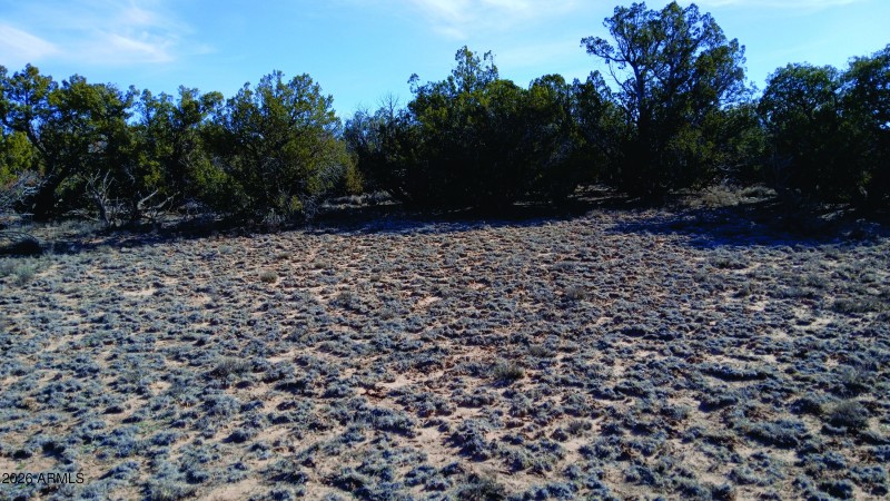 206-14-382 Vegetation (4).jpg