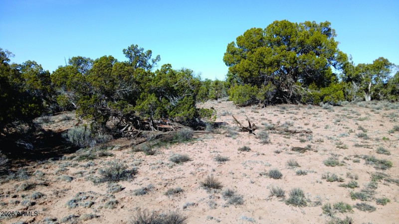 206-14-382 West view.jpg