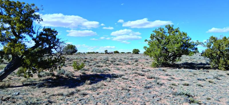 207-71-002 Vegetation (4).jpg