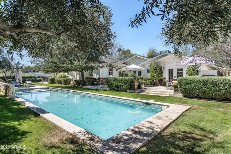 Backyard Looking Back