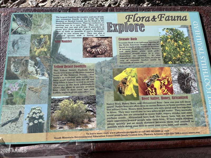 FLORA & FAUNA INFO