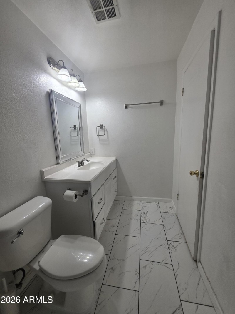 HALL BATHROOM-Vanity