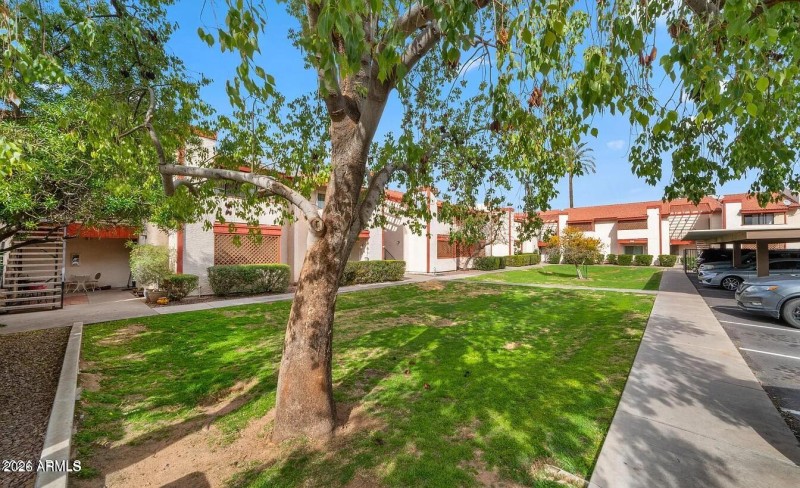 original-5FBBD4E6-117C-4779-985F-9A3D8FC