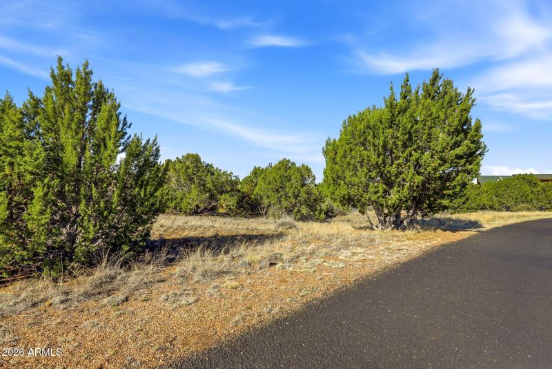 8379LakeViewDr-ShowLowAZ-1