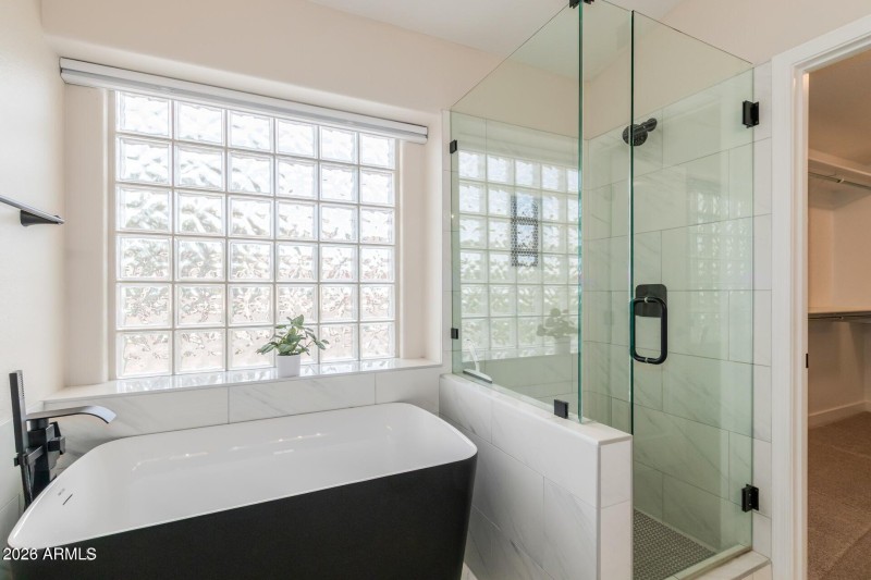 MASTER BATH SEPERATE TUB & SHOWER