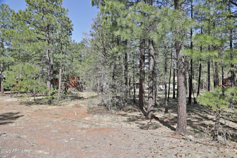 7466 Buck Springs Road, Pinetop, AZ