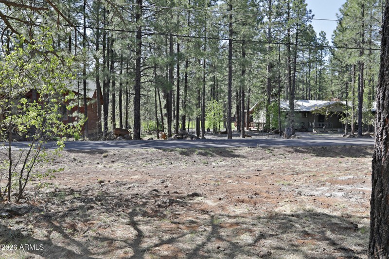 7466 Buck Springs Road, Pinetop, AZ