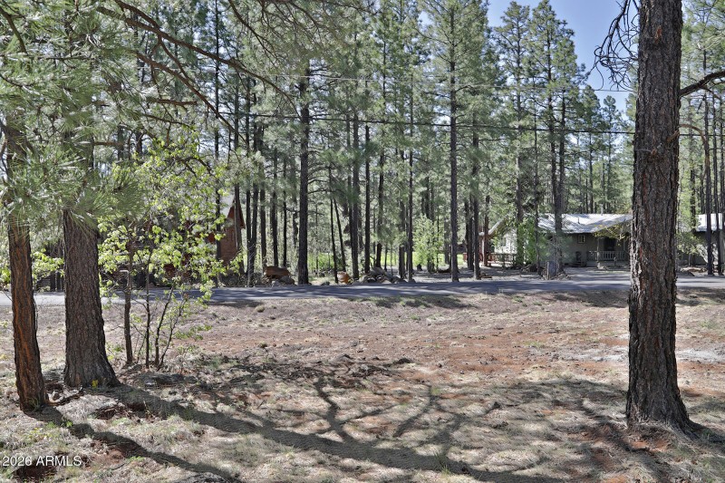7466 Buck Springs Road, Pinetop, AZ