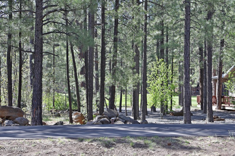 7466 Buck Springs Road, Pinetop, AZ