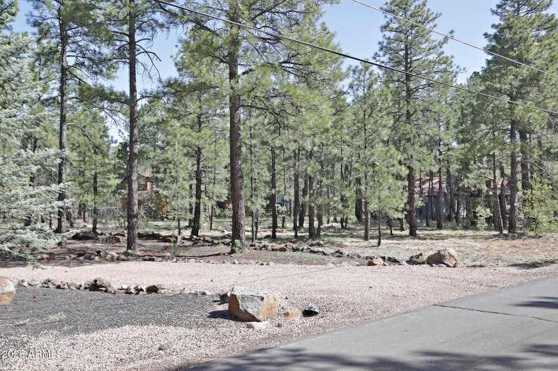 7466 Buck Springs Road, Pinetop, AZ