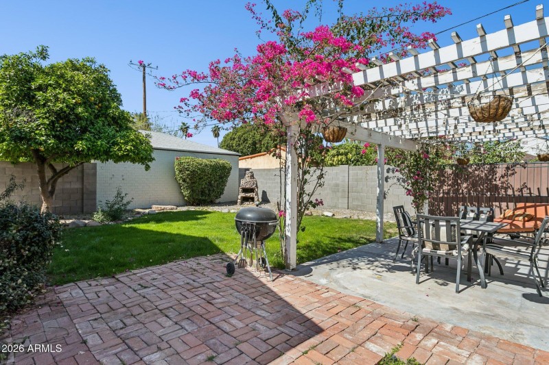 Pergola in rear yard