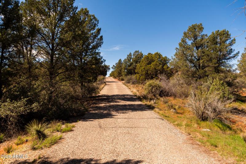 100 Pinon Valley Dr-1046