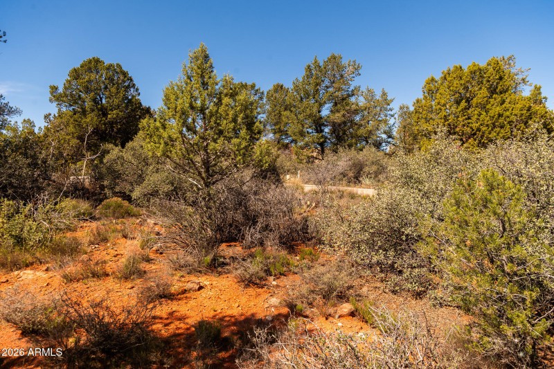 100 Pinon Valley Dr-1044