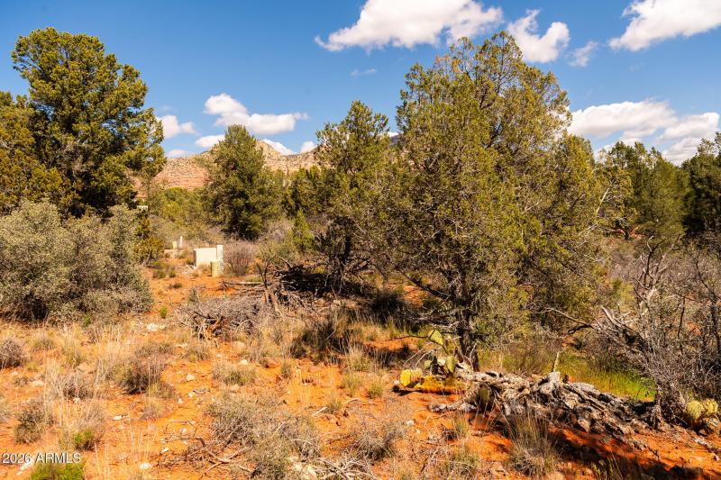 100 Pinon Valley Dr-1041