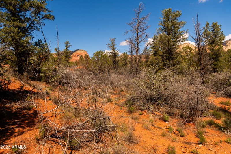 100 Pinon Valley Dr-1038