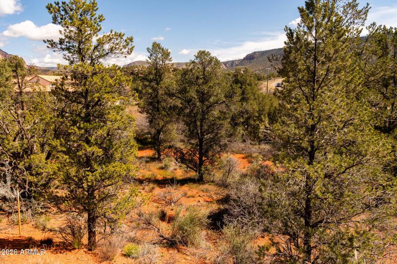 100 Pinon Valley Dr-1036