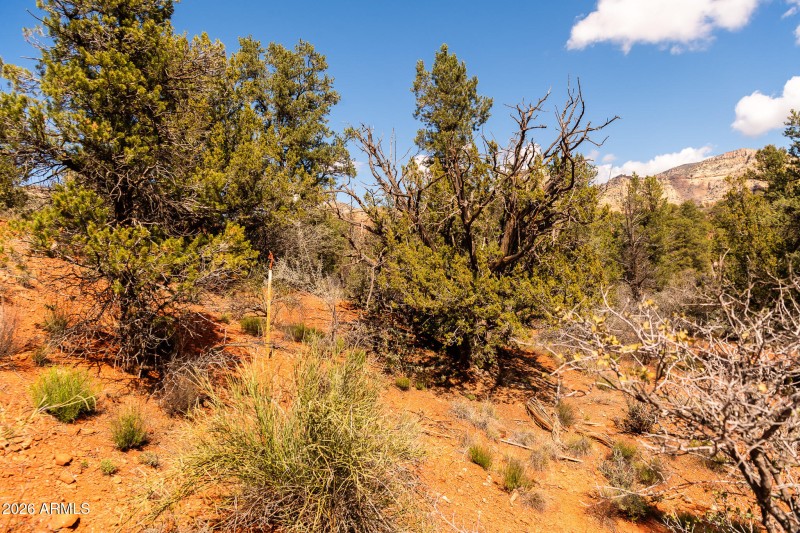 100 Pinon Valley Dr-1037