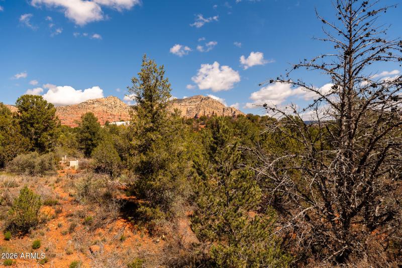 100 Pinon Valley Dr-1023