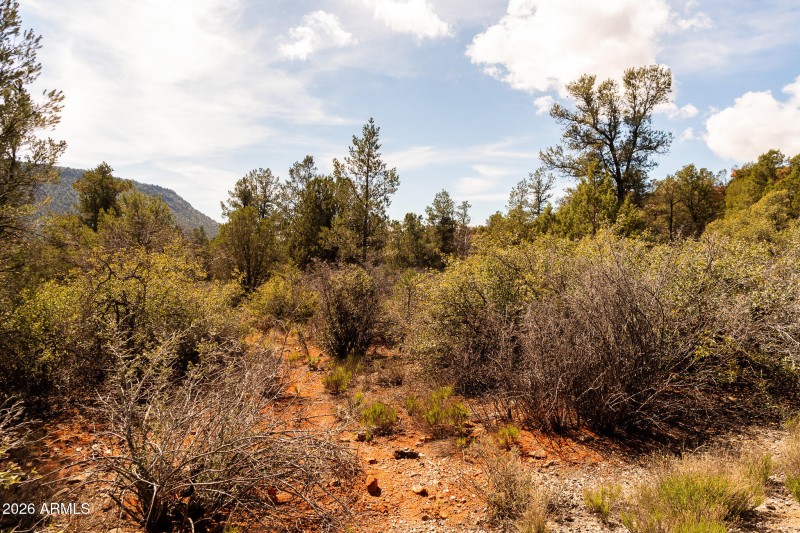 100 Pinon Valley Dr-1001