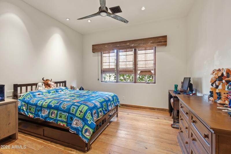 8131EAppaloosa_ws_int (26)