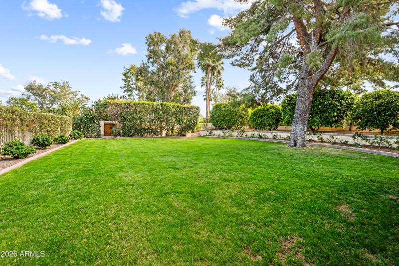 8131EAppaloosaTrl_ws (58)