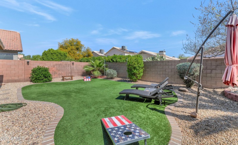 Backyard
