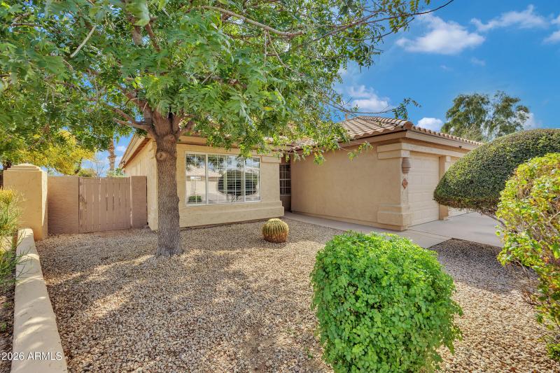 4629 E Gold Poppy Way-2