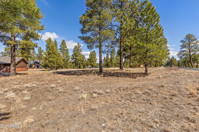 3401 S Brown Sage Ct-16