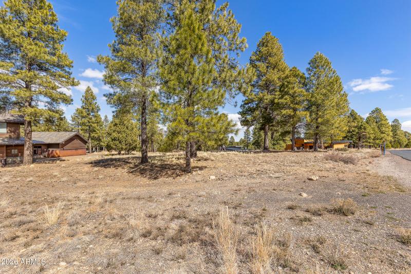 3401 S Brown Sage Ct-14