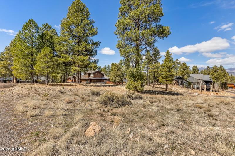 3401 S Brown Sage Ct-9