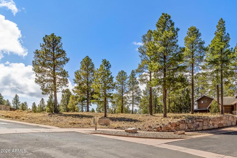 3401 S Brown Sage Ct-4