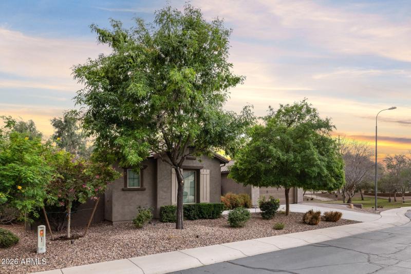 69-web-or-mls-260309-2445-W-Wildhorse-Dr