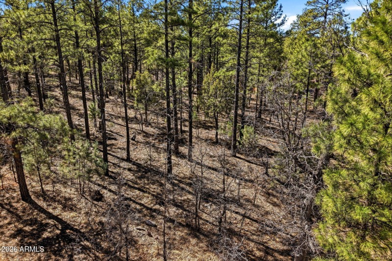 3581WSennaLn-ShowLowAZ-3