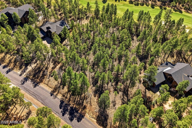 3581WSennaLn-ShowLowAZ-4