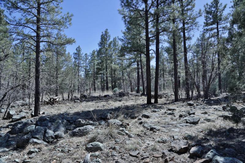 1030 Big Springs Trl, Lakeside, AZ 85929