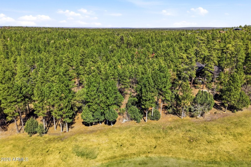 3581WSennaLn-ShowLowAZ-14