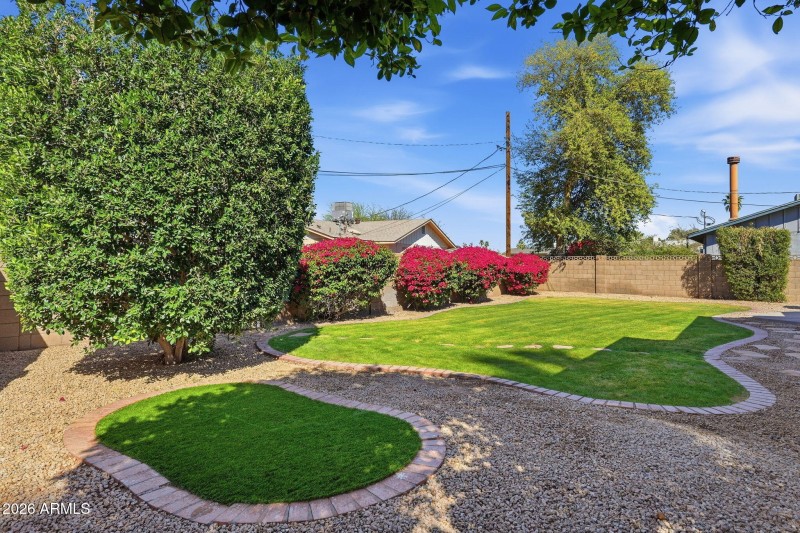 Beautiful Backyard Oasis
