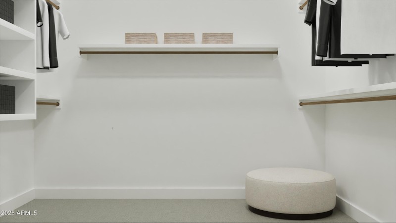 Owner's Walk in Closet