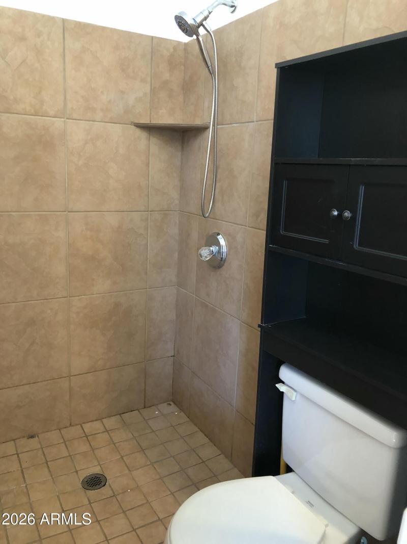 Bathroom - Shower and Toilet