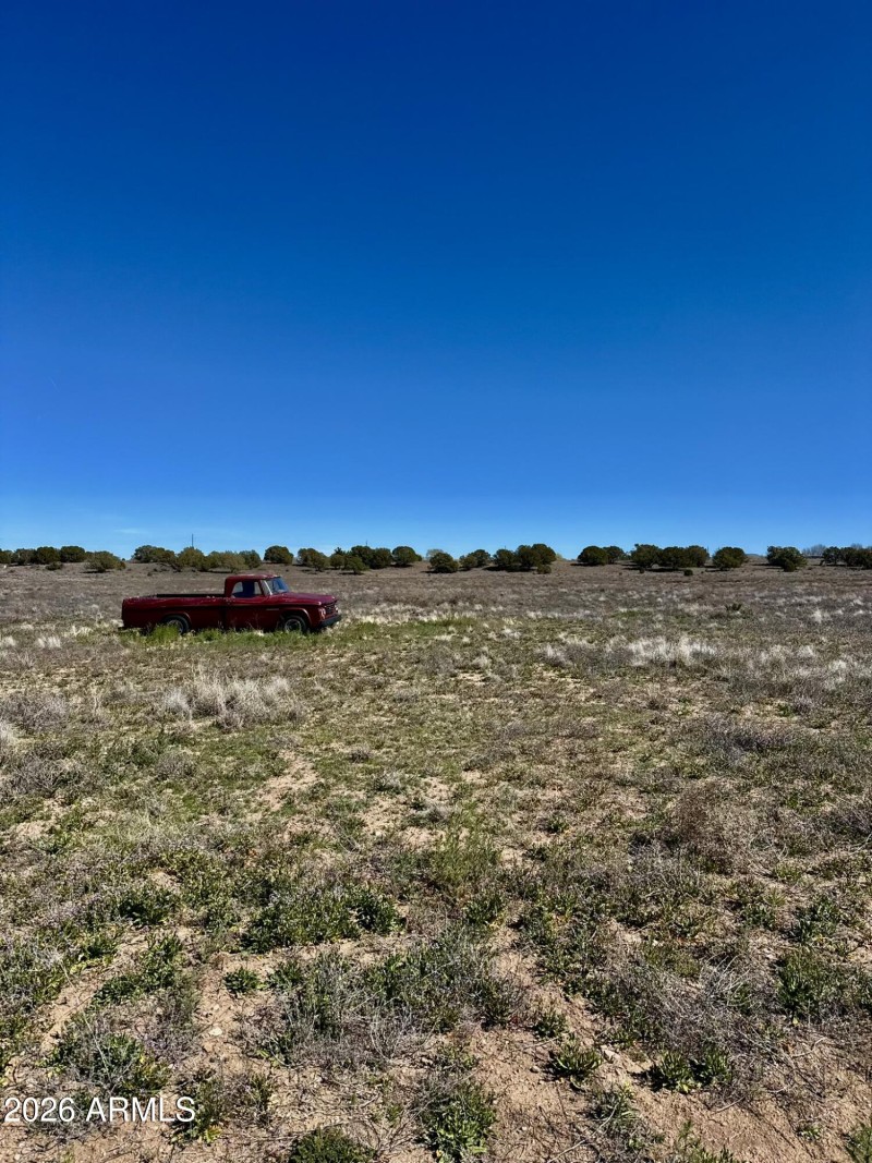 79504131698__B7FB4FC0-2BF2-45A9-980E-362