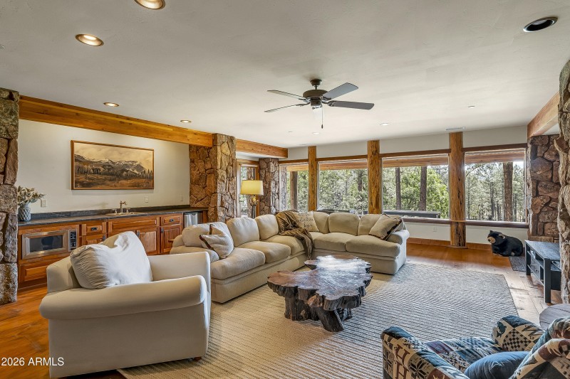 Lower level living room