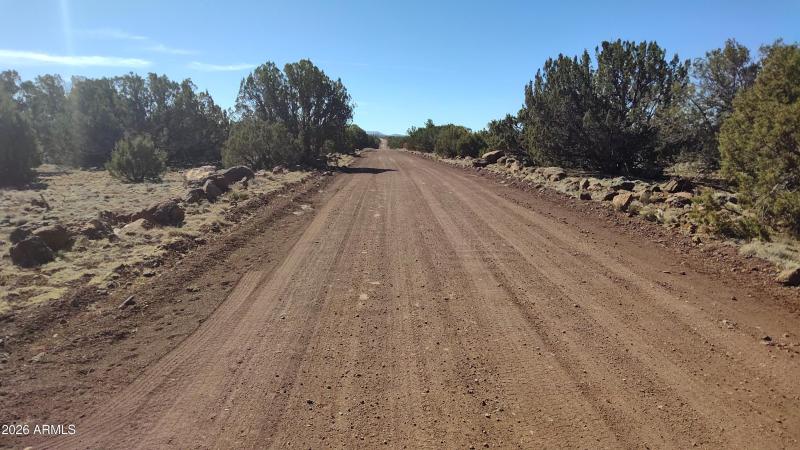 WIN_20260311_10_40_17_Pro