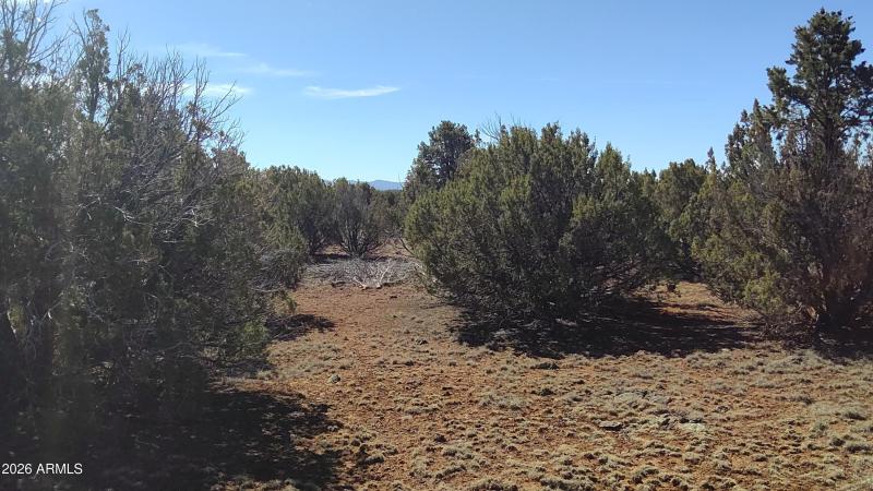 WIN_20260311_10_41_41_Pro