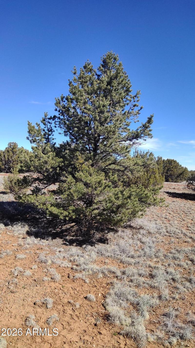 WIN_20260311_10_41_26_Pro